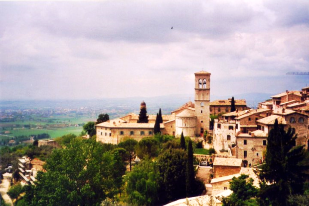 Aviary Photo_131038158340452023