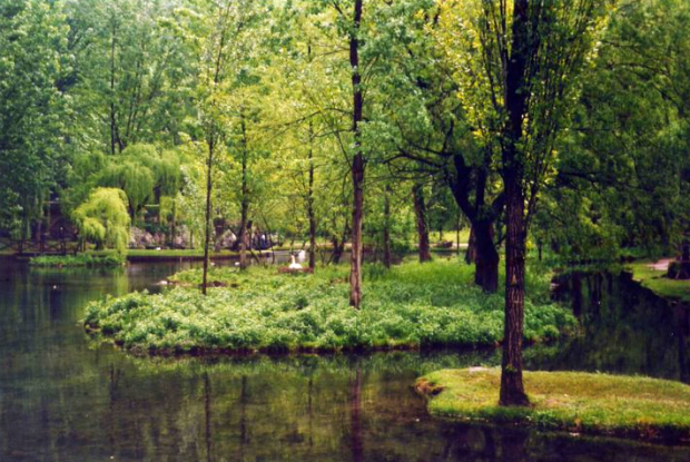 Aviary Photo_131038158997056464