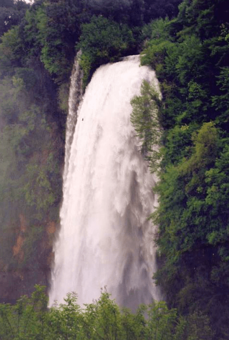 Aviary Photo_131038159348485452