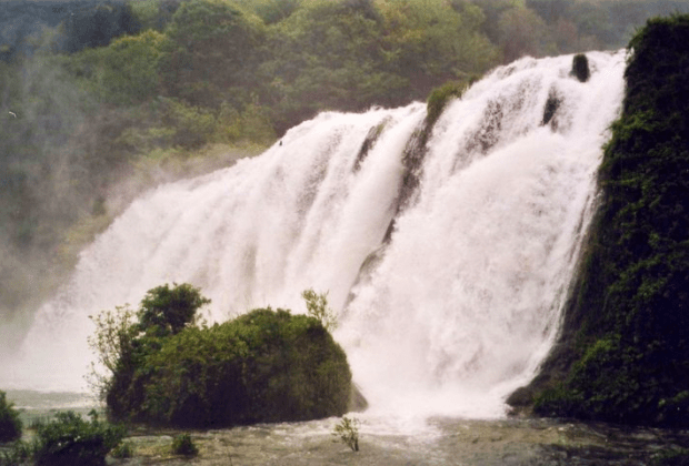 Aviary Photo_131038159656250952