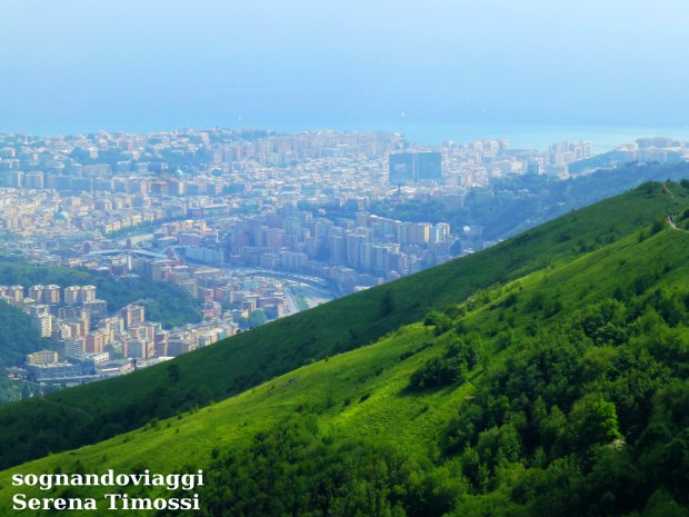 Panorama forti Genova