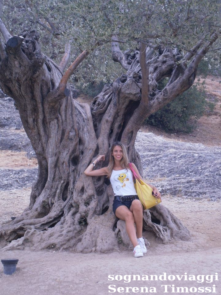 pont du gard cosa vedere