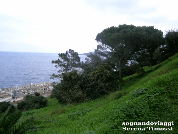 saint-tropez-panorama