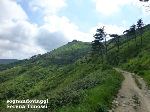 sentiero-forti
