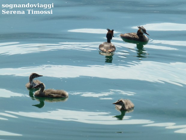 floating-piers-iseo-11