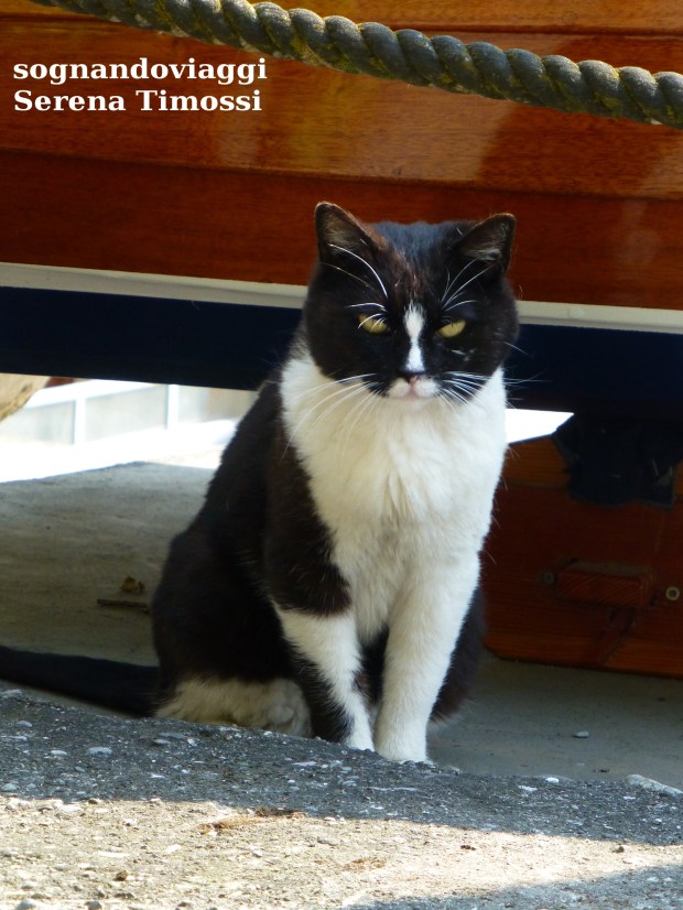 floating-piers-iseo-14