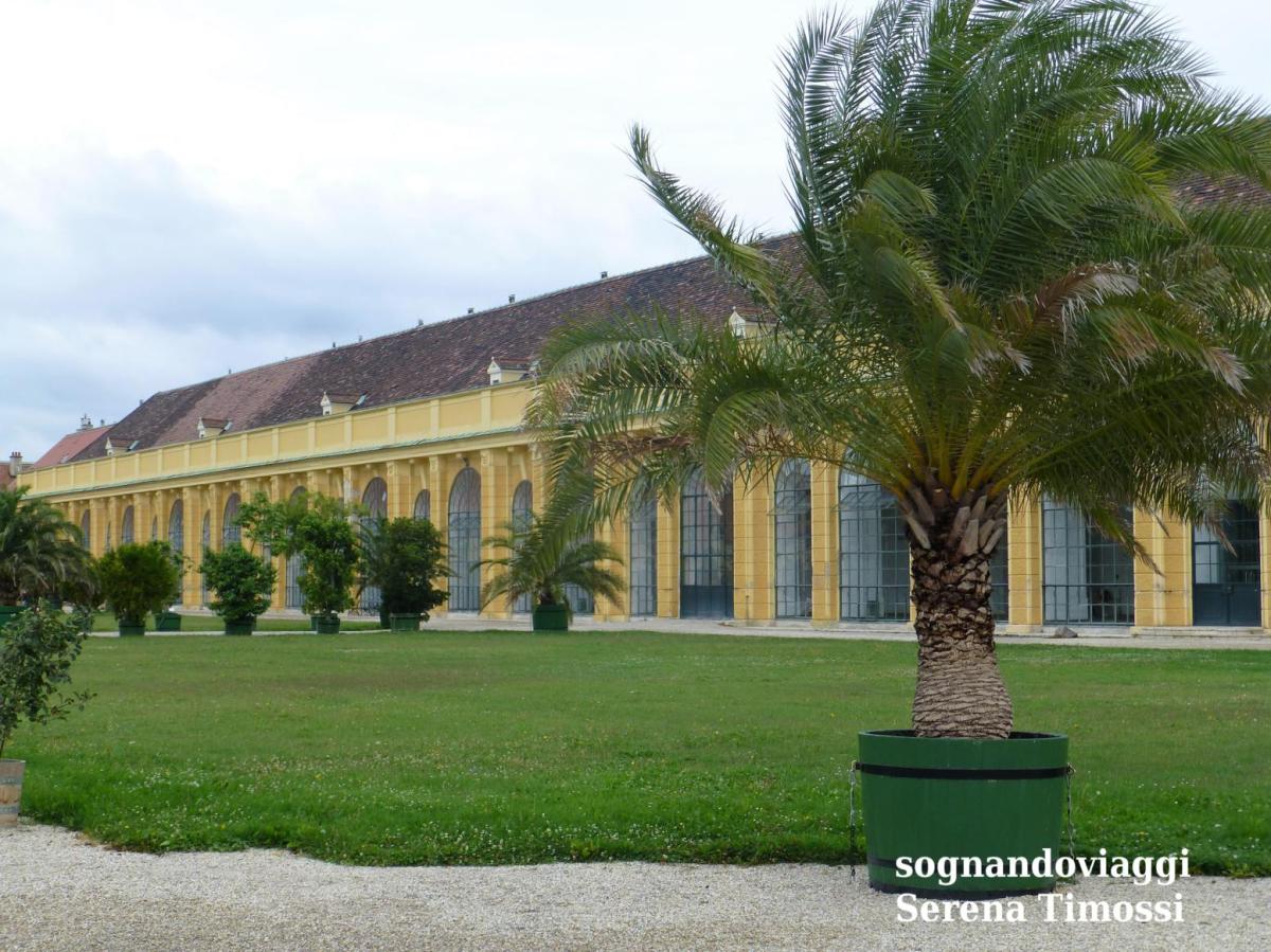 Schönbrunn Orangerie