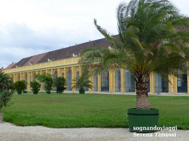 Schönbrunn Orangerie