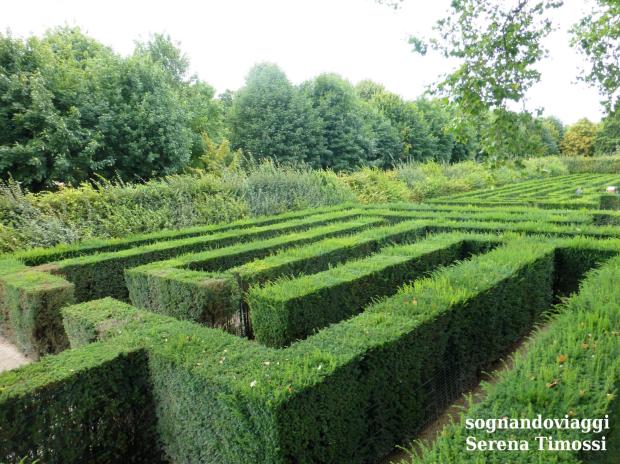 Schonbrunn labirinto