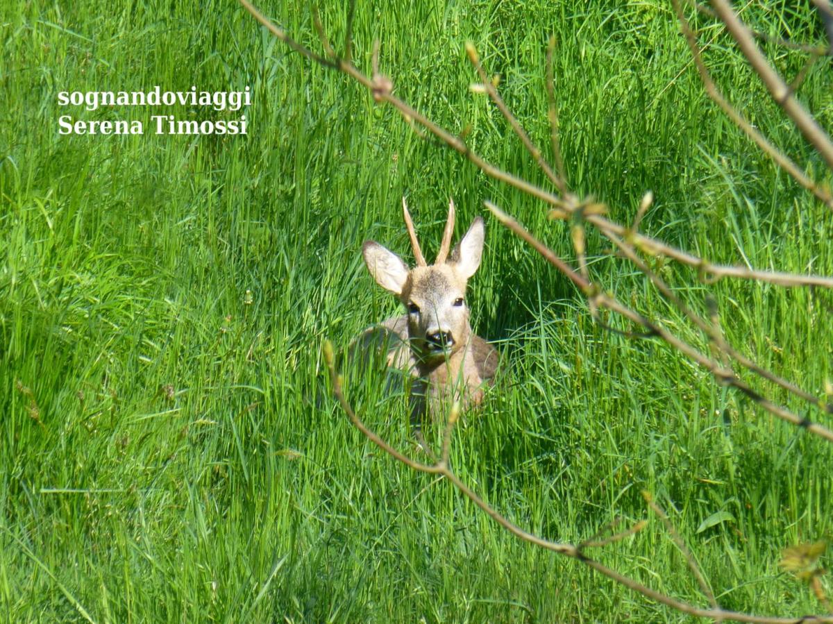 Cascata del Serpente