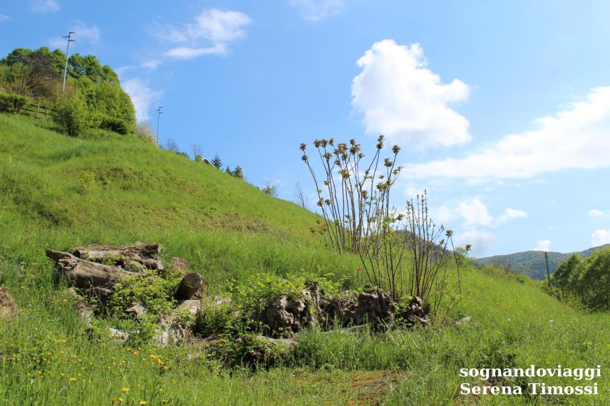 cascata del serpente