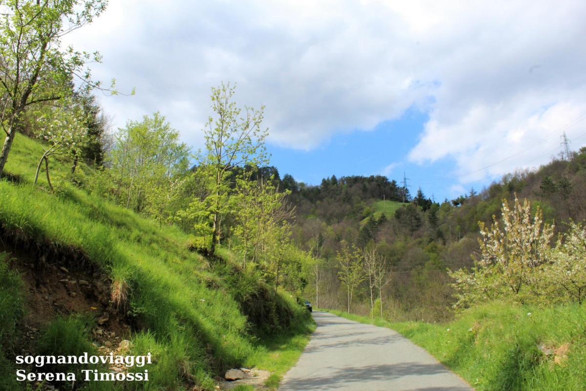cascata del serpente