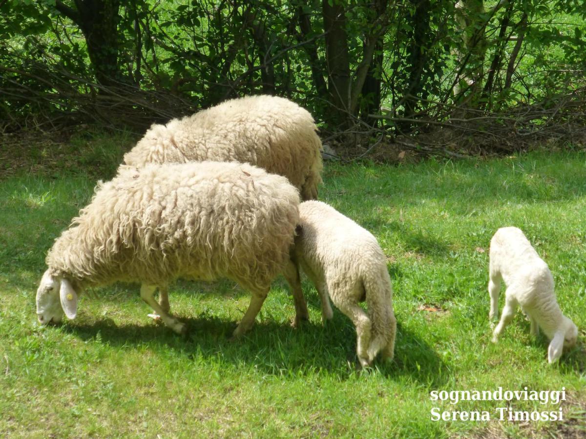 Cascata del serpente