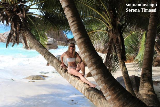 anse patate seychelles