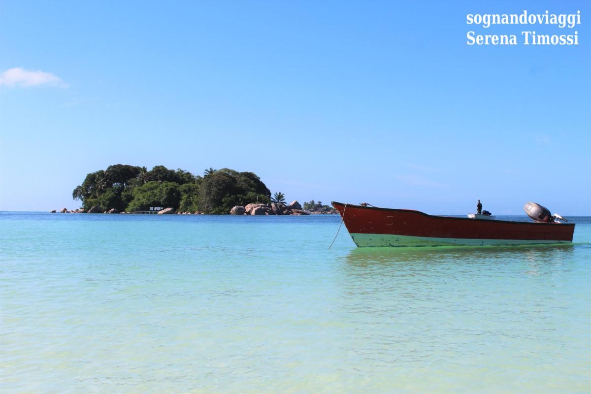 chauve souris praslin seychelles