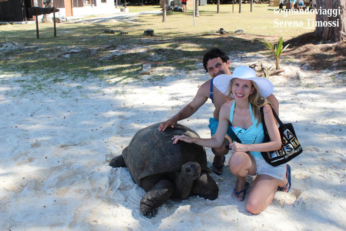 seychelles curieuse island