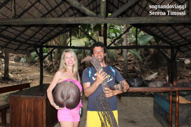 vallée de mai praslin coco de mer