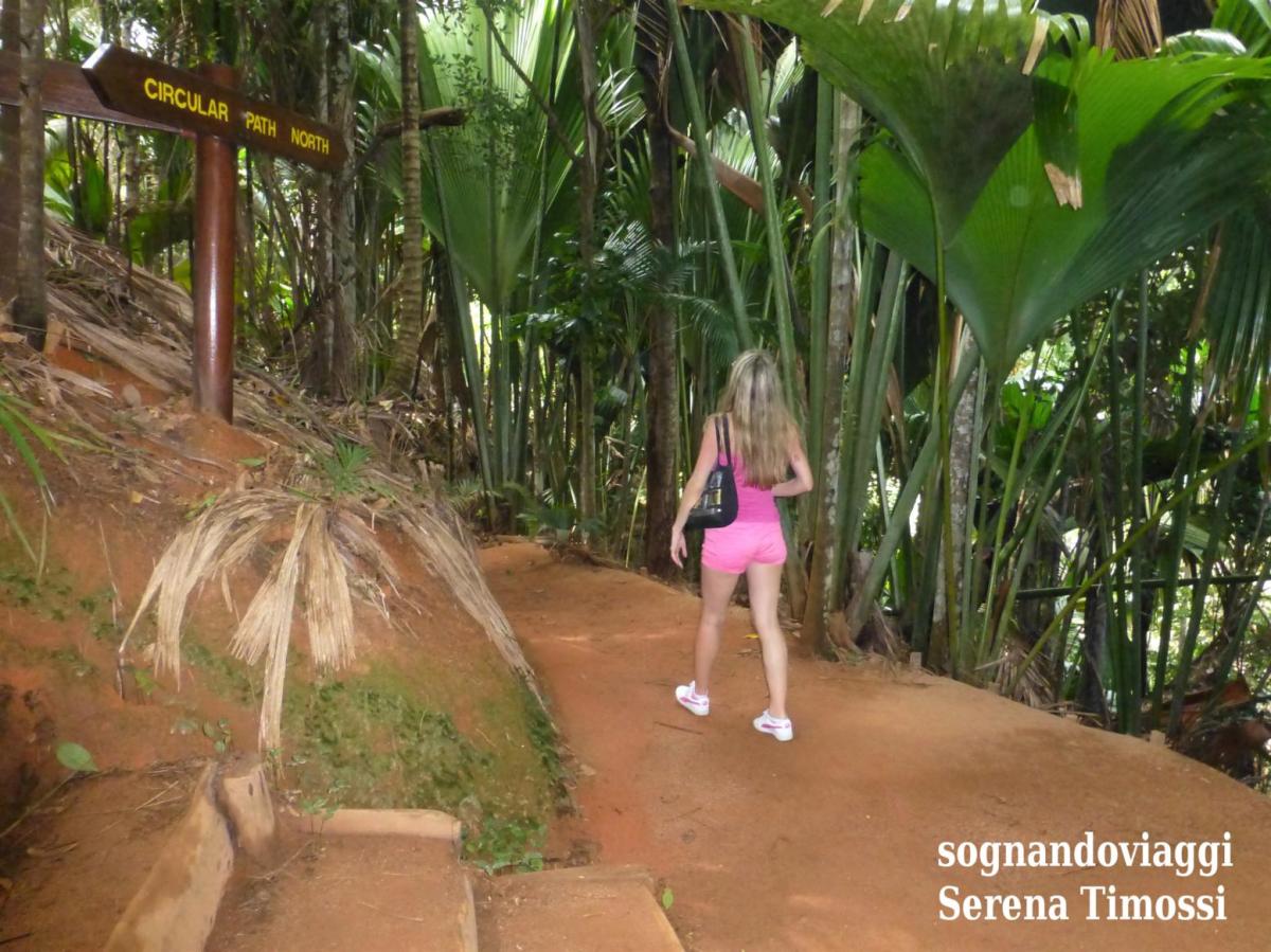 vallee de mai praslin