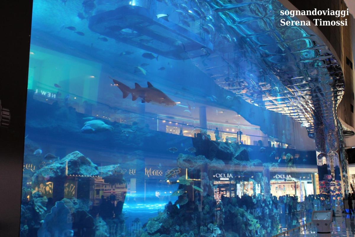 dubai aquarium