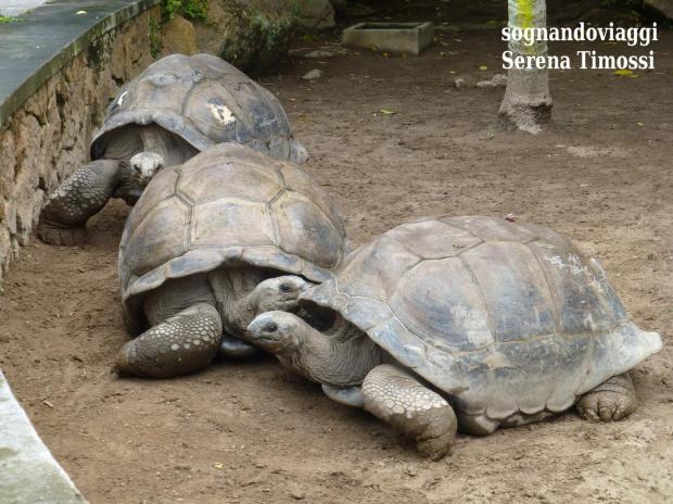 le domaine de la reserve praslin