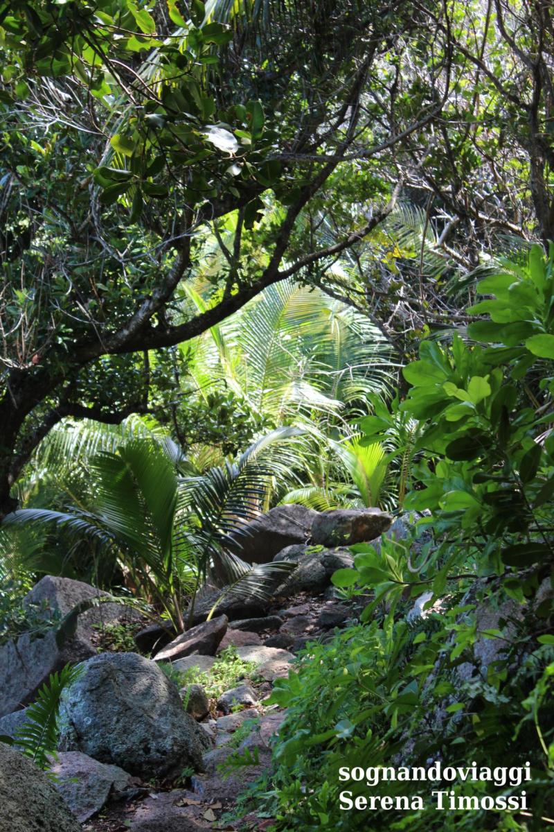 la digue seychelles