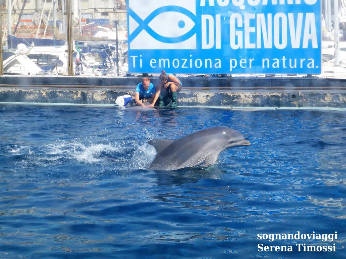 acquario di genova
