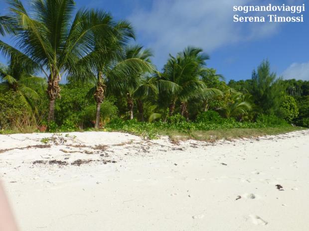 seychelles cosa vedere