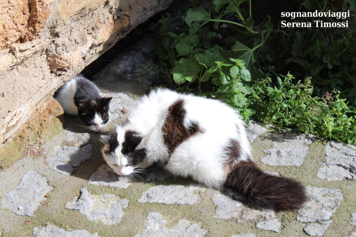 Civita di Bagnoregio