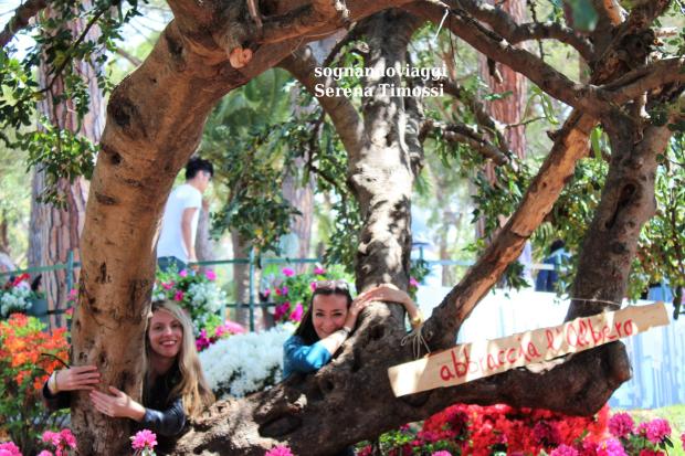 abbraccia l'albero euroflora