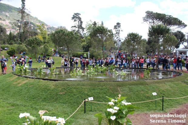 lago ninfee euroflora