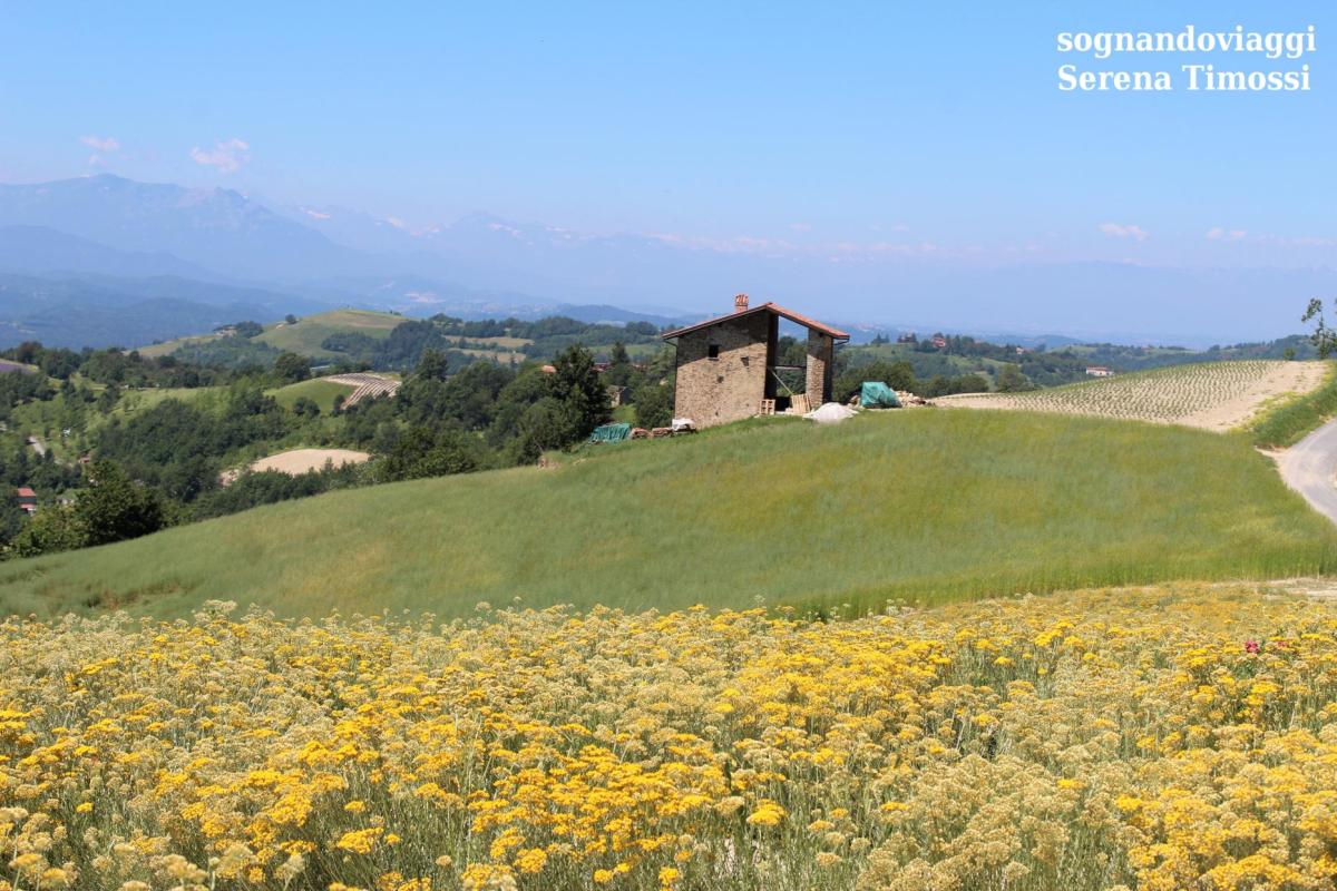 elicriso sale san giovanni