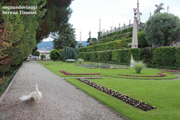 isola bella giardini