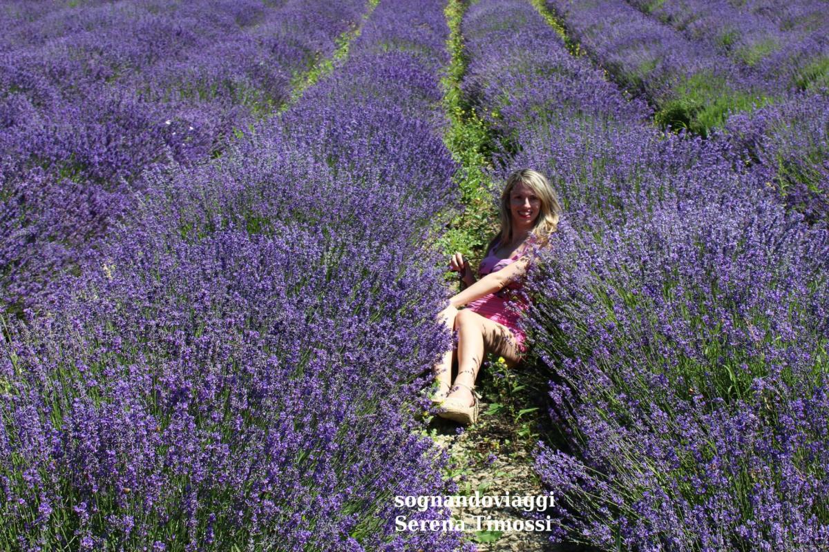 lavanda sale san giovanni