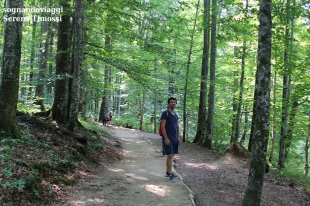 laghi di plitvice croazia