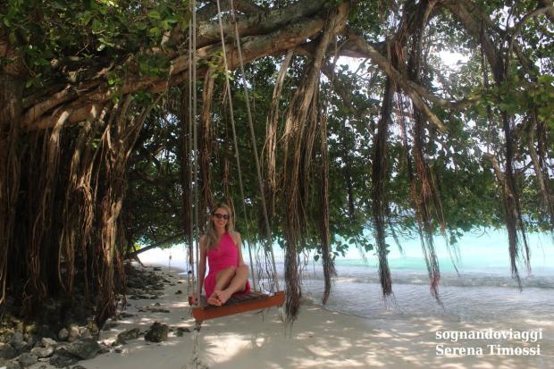 mangrovie maldive fihalhohi