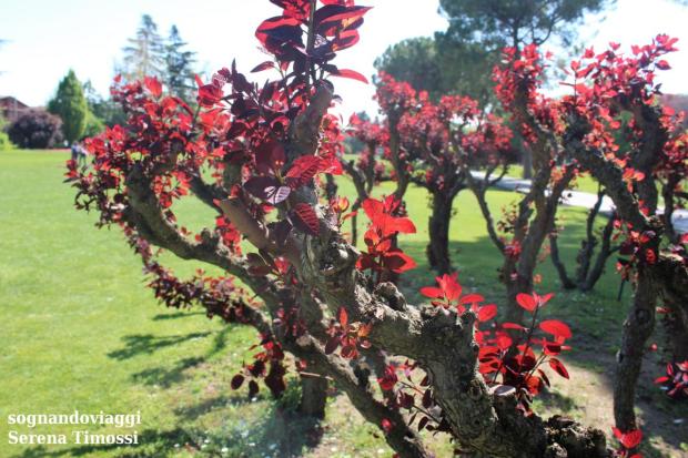 Parco giardino sigurtà