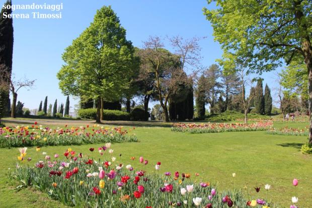 tulipanomania sigurtà