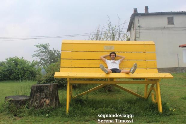 clavesana panchina gialla