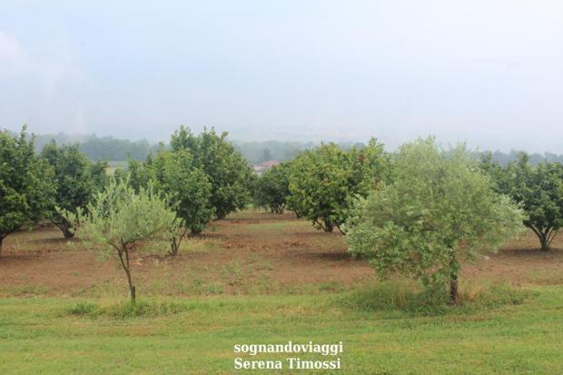 panchina gigante gialla clavesana