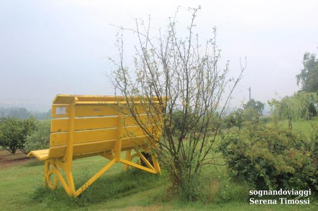 Clavesana panchina gialla