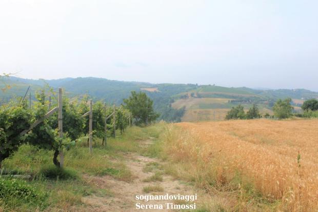 panchina viola Farigliano