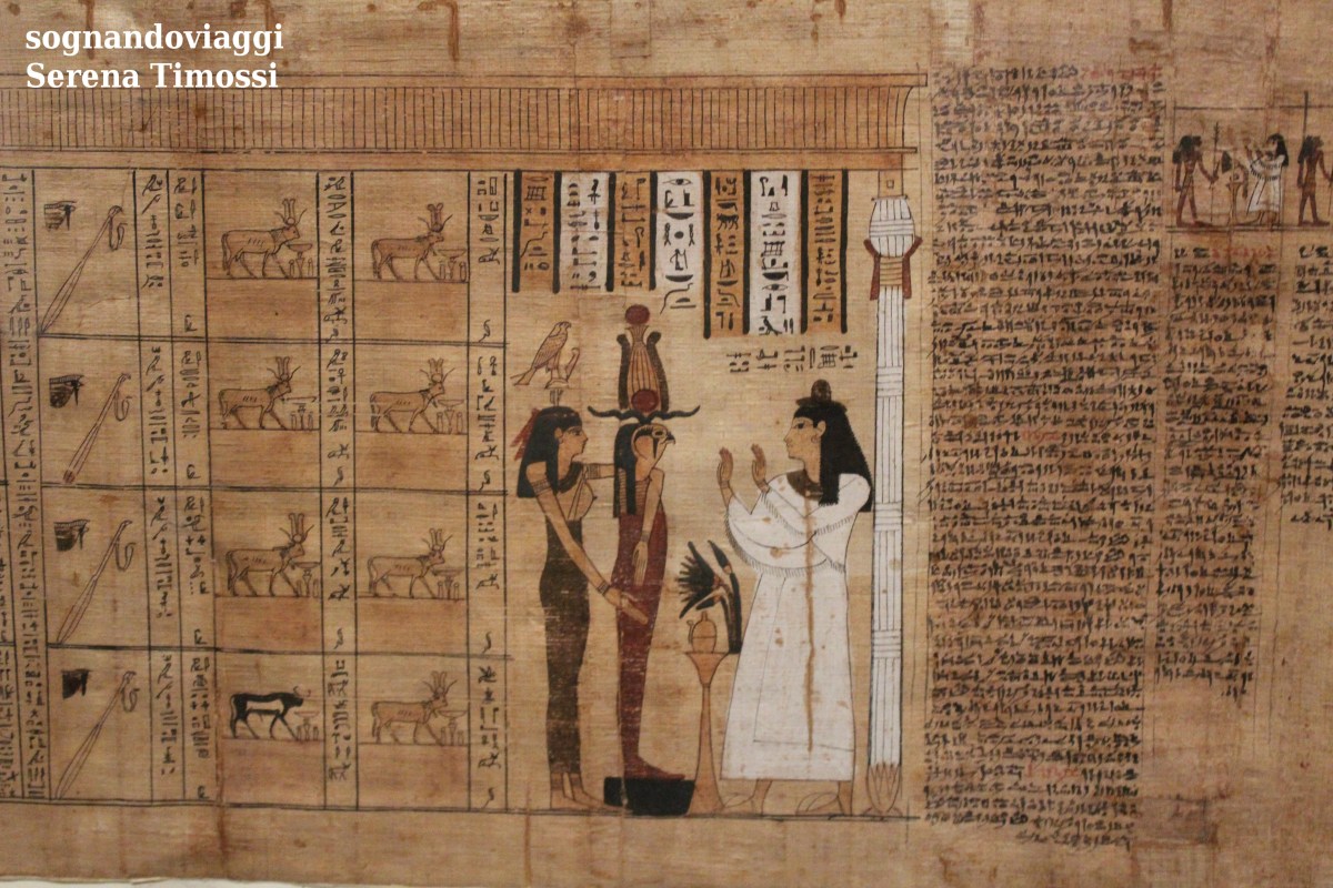 libro dei morti museo egizio torino