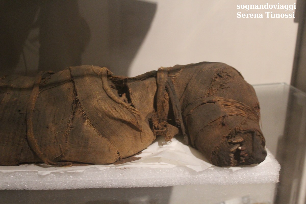 mummie animali Museo Egizio
