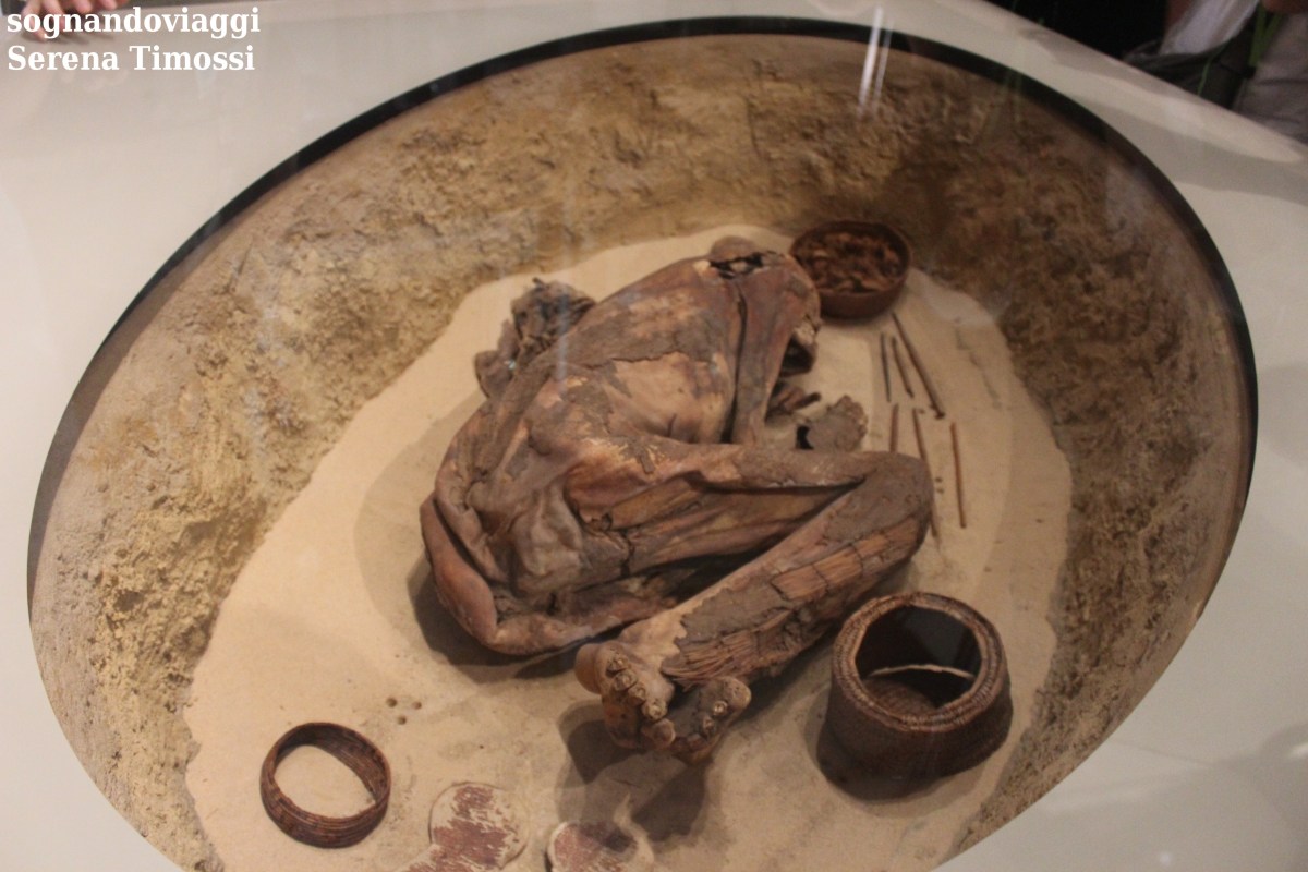 mummia museo egizio torino