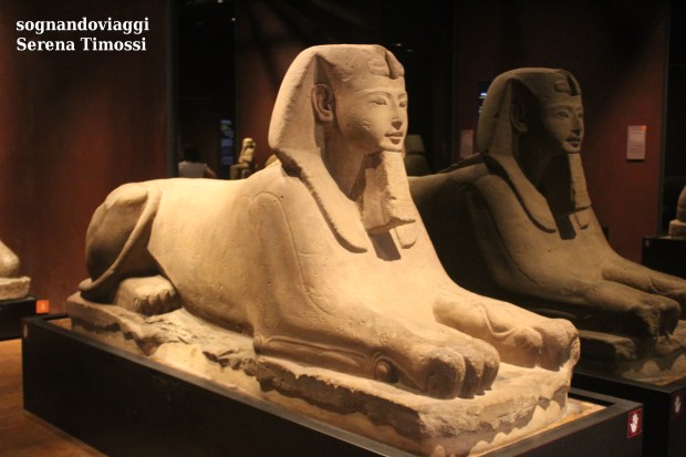 Sfinge museo egizio