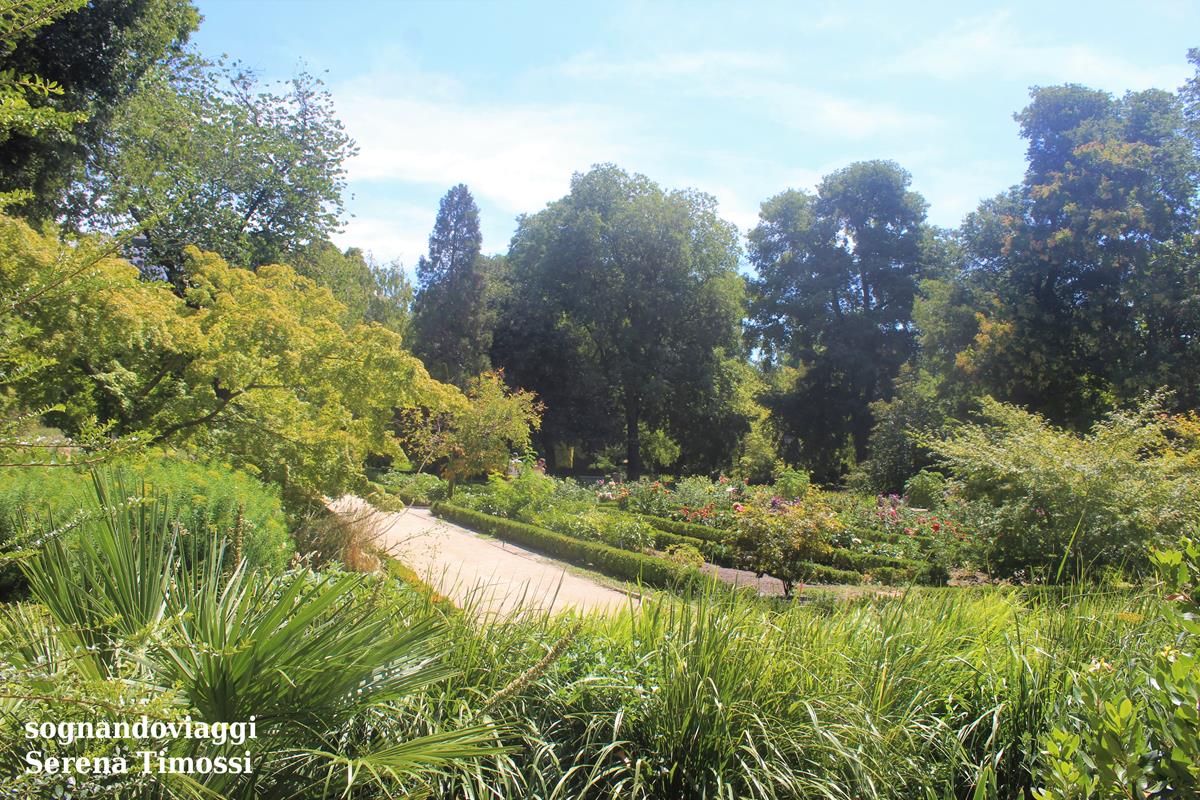 giardino botanico reale madrid