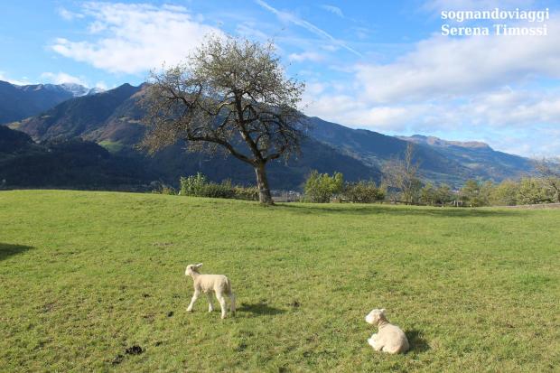 Heididorf, il paese di Heidi