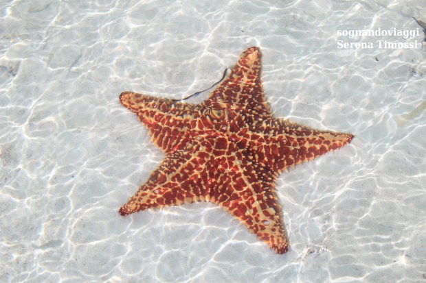 cayo largo cosa vedere