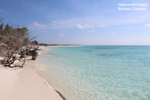 playa mal tiempo cayo largo