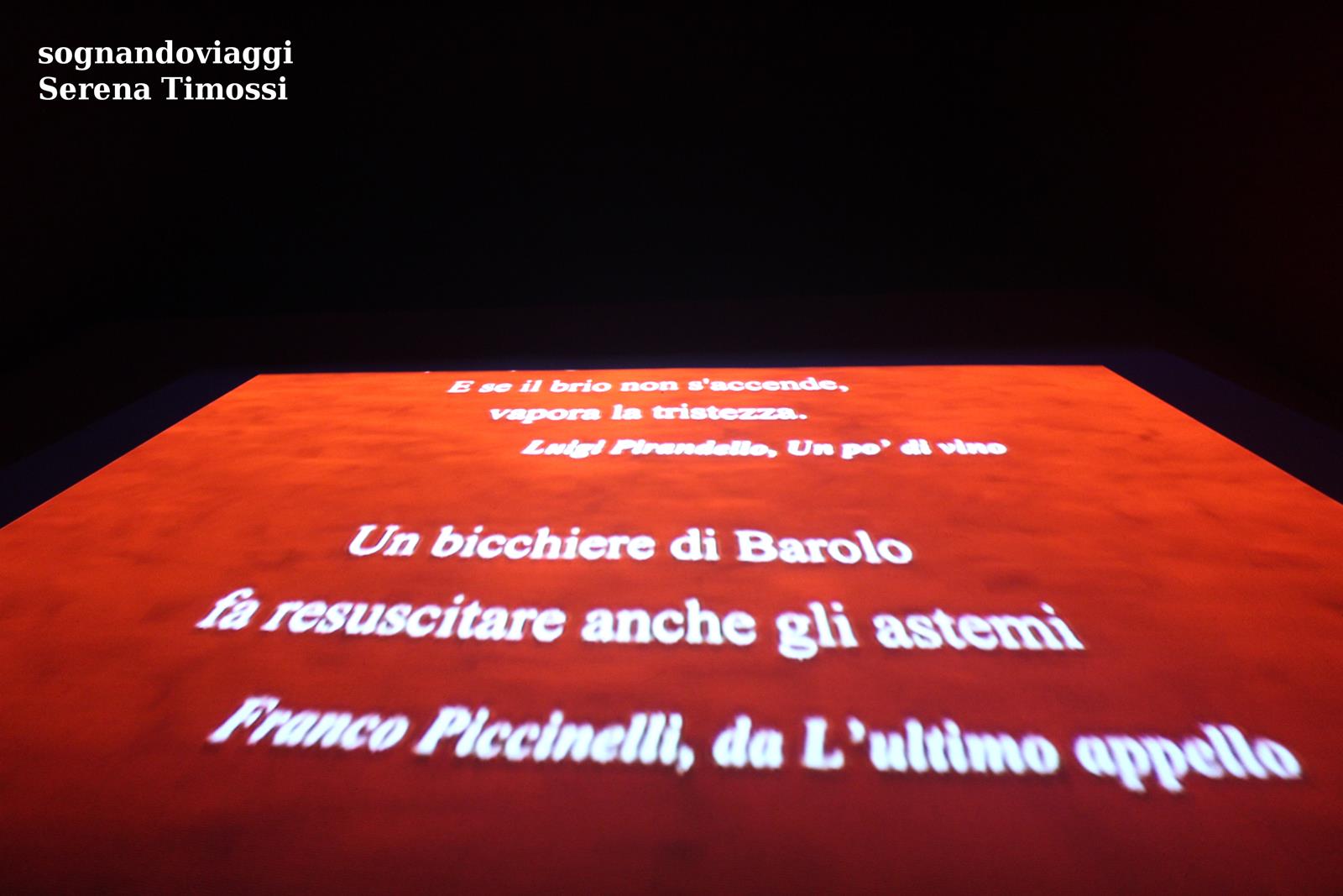 Museo del vino Barolo